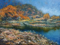 Bog