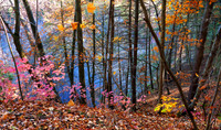 Landscapes