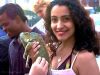 Nice Girl With Pet