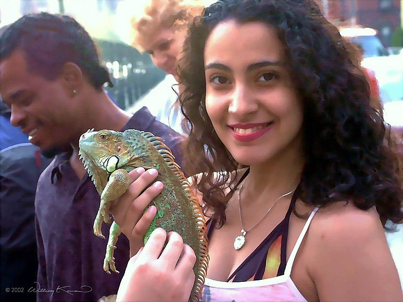 Nice Girl With Pet