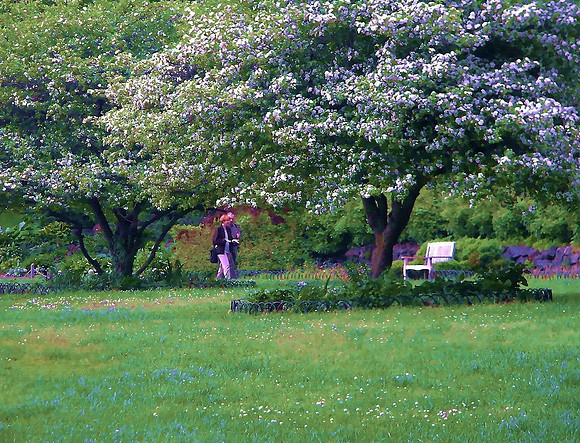 Walk In The Park