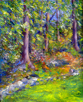 Splash of Oaks